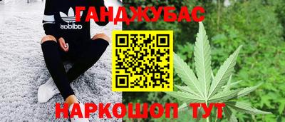 стаф Дубна