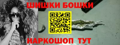 стаф Дубна