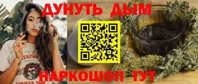 стаф Дубна
