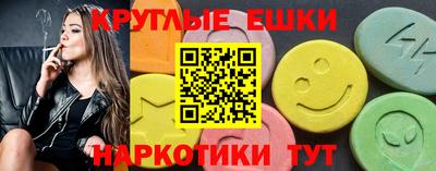 стаф Дубна