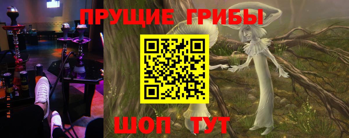 Галлюциногенные грибы MAGIC MUSHROOMS  Вход с VPN  Нарткала 